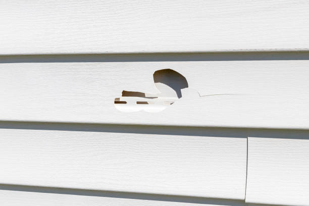 Best Siding Removal and Disposal  in USA